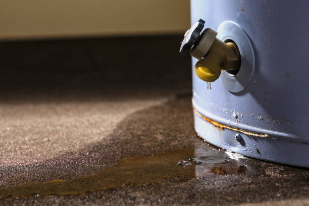 Best Carpet water damage restoration  in Union, SC