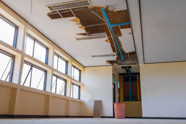Best Residential water damage restoration  in Union, SC