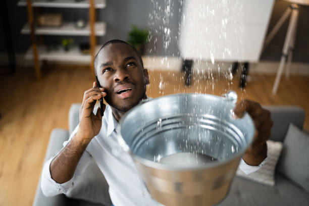 Best Flooded house restoration  in Union, SC