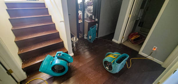 , SC Water damage restoration Company