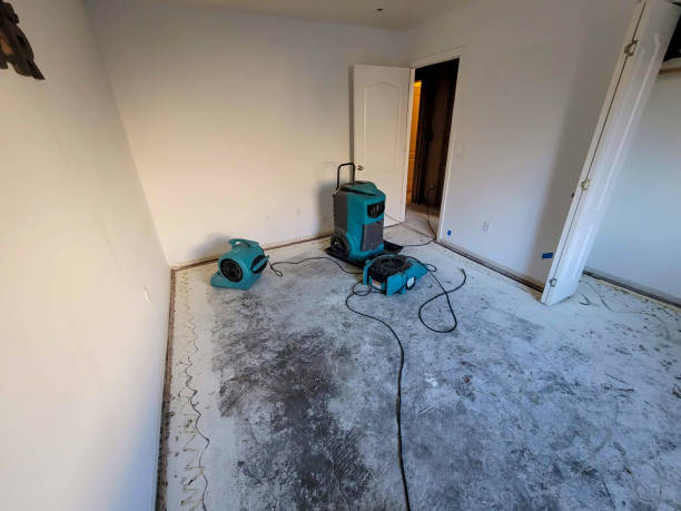 Best Basement water damage restoration  in Union, SC