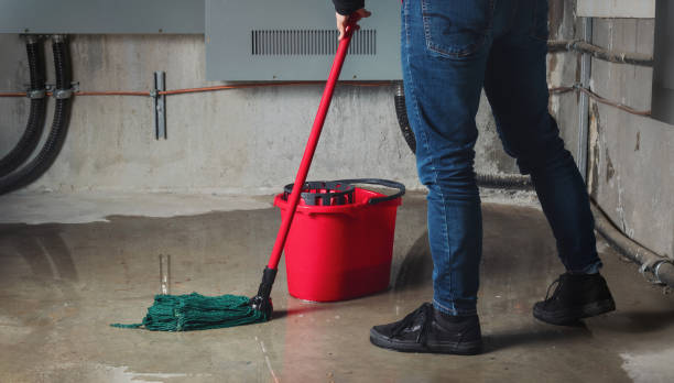 Best Water damage cleanup near me  in Union, SC