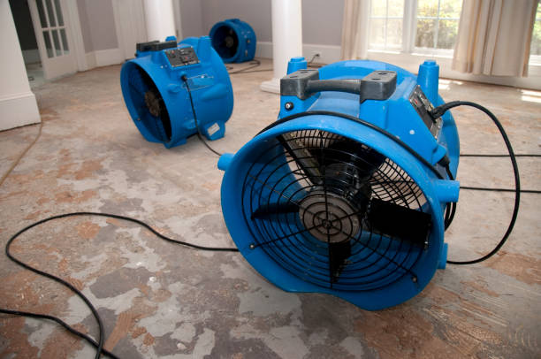 Best Water damage restoration near me  in Union, SC