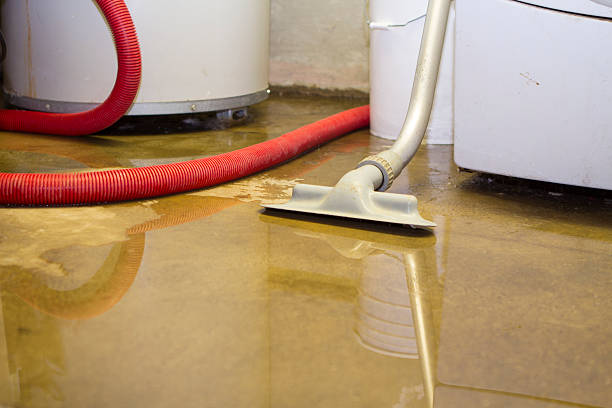 Best Professional water damage repair  in Union, SC